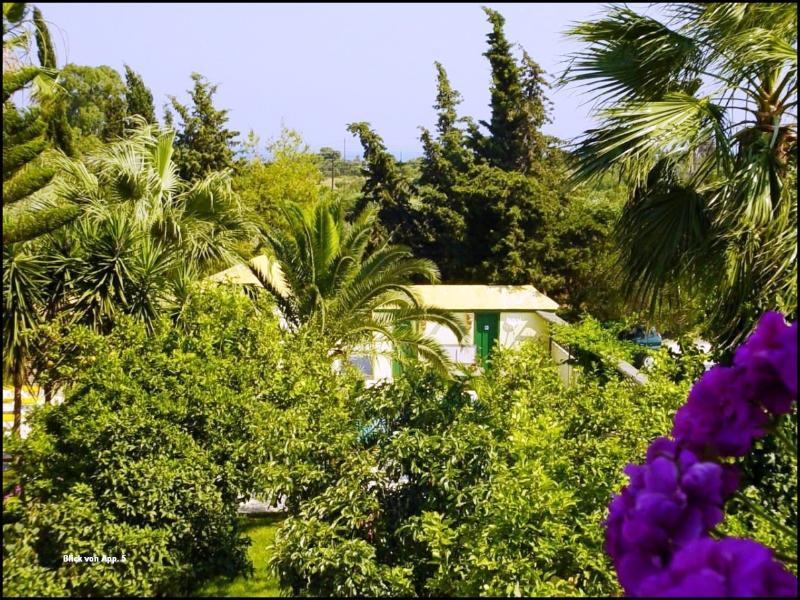 Lemon Garden Vasilikos (Zakynthos)